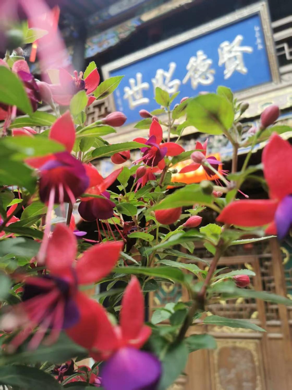 Pingyao Hu Lu Wa Home Inn Exterior foto
